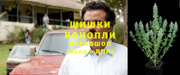 дживик Богородск