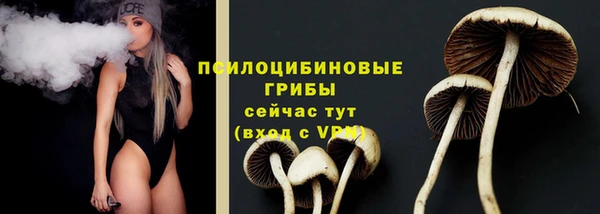 прущая мука Бронницы