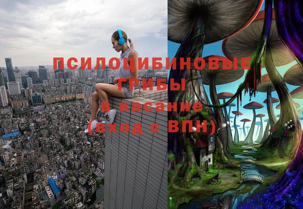 молекула духа Нязепетровск